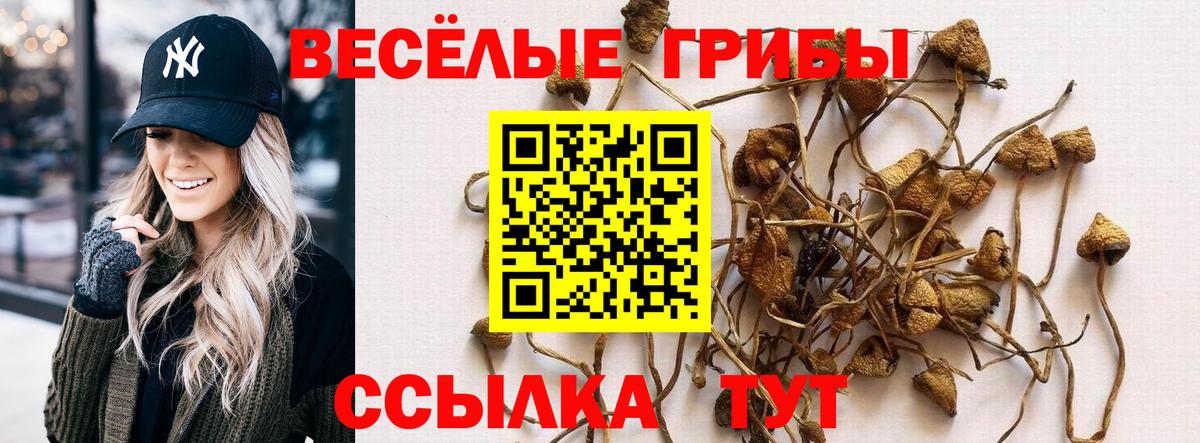 Галлюциногенные грибы MAGIC MUSHROOMS Обь